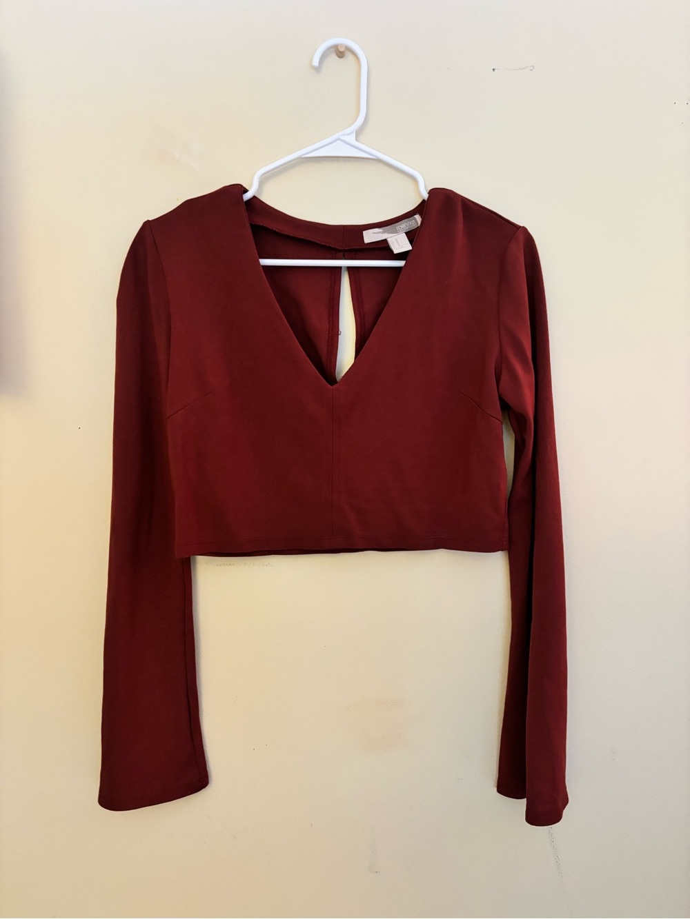 Forever 21 Burgundy Long Sleeve V-Neck Crop Top